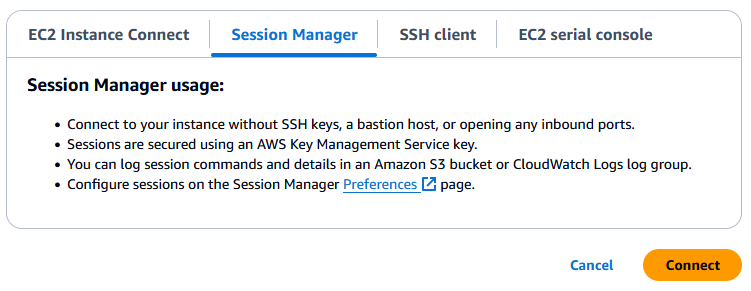 The Connect button on the Session Manager tab.