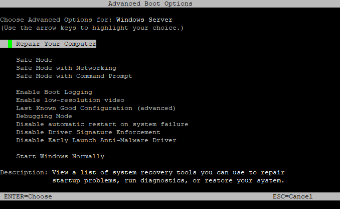 Advanced boot options.