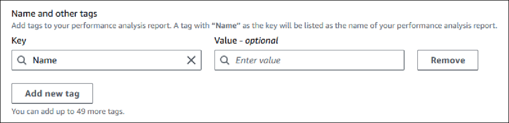 Performance Insights dashboard with fields to add a new tag