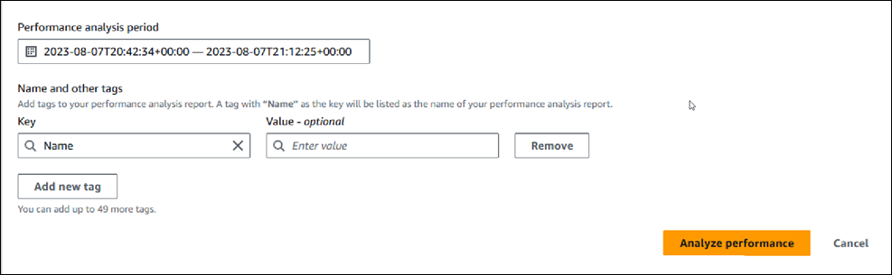 Performance Insights dashboard showing fields to create analysis report