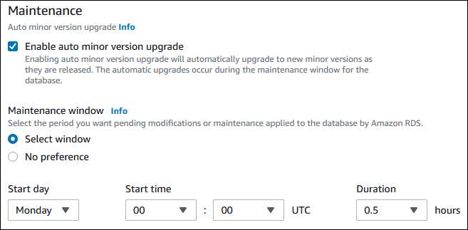 The Maintenance section with Enable auto minor version upgrade selected in the Amazon RDS console.
