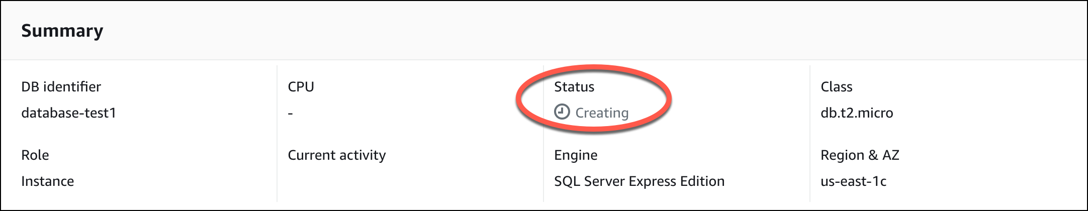 Screen capture of the DB instance details.