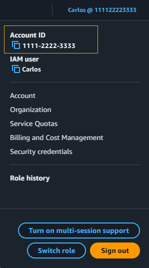 Account information drop-down box with account ID highlighted