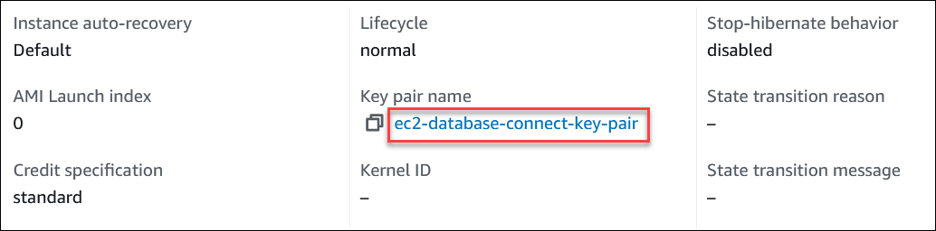 EC2 Name des key pair auf der Instanzseite auf der Registerkarte „Details“.