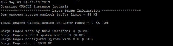 Contents of the Oracle database Alert Log File