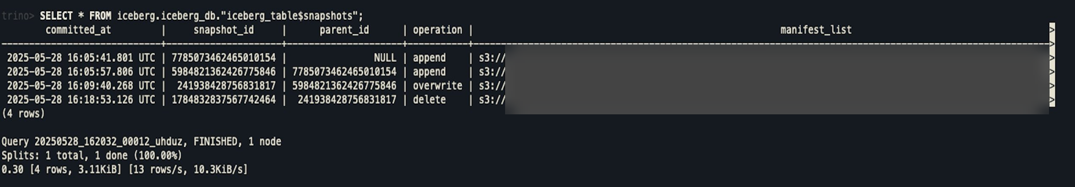 Output from querying Iceberg table metadata.