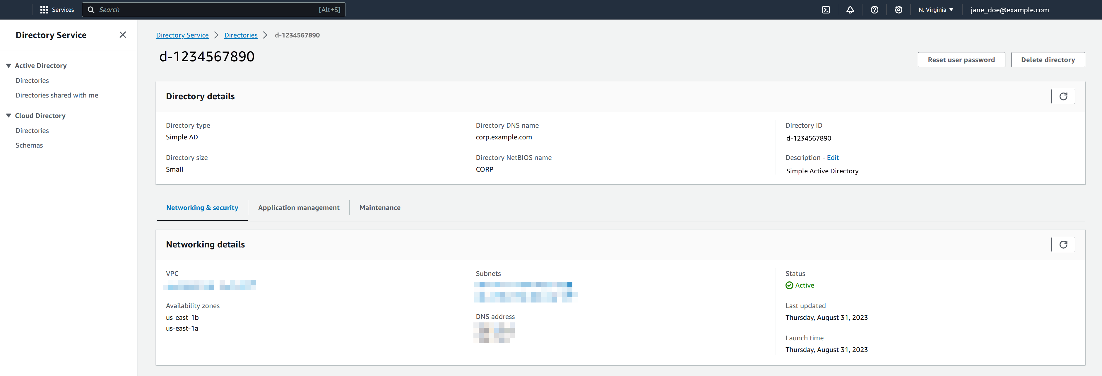Simple AD Directory details page.