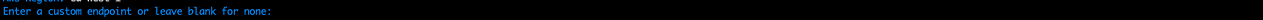 Command line prompt requesting custom endpoint input or Enter key for default endpoint.