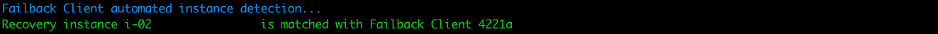 Console output showing recovery instance i-02 matched with Failback Client 4221a.