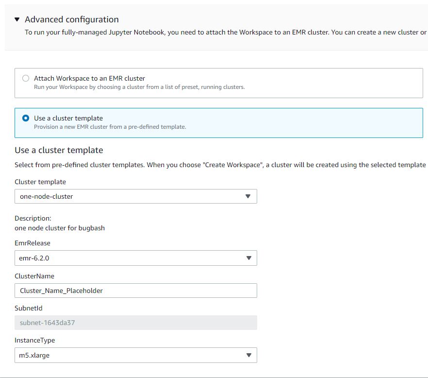 Screenshot of the additional inputs in the Studio user interface when a user selects a cluster template with parameters.