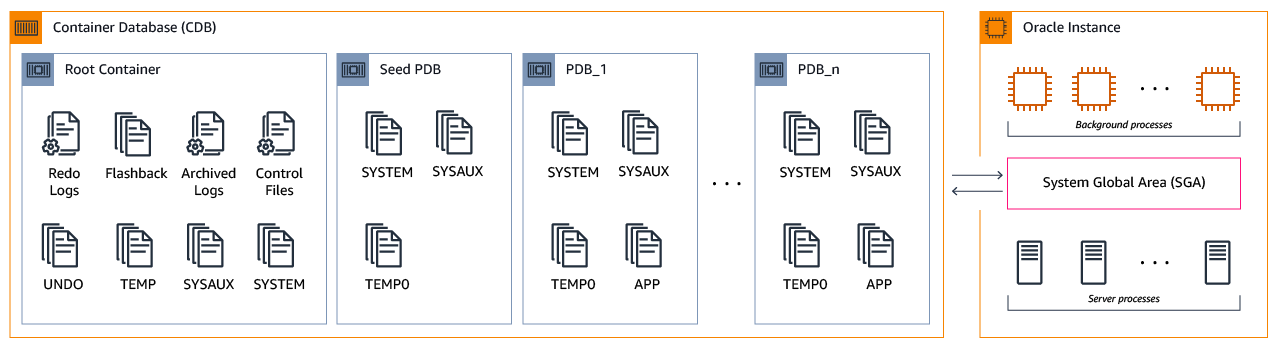 Container Oracle database