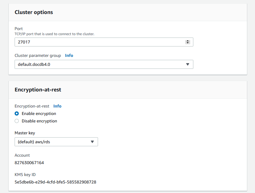 Cluster options and Encryption-at-rest forms with default options selected.