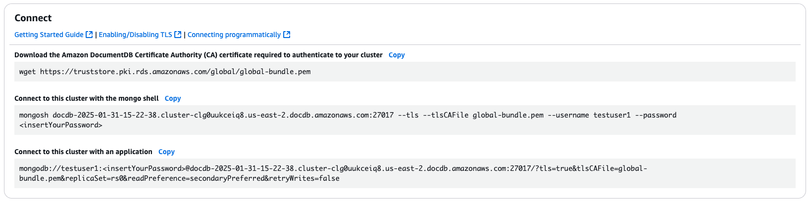 Connect section showing a string to connect to the instance with the mongo shell and a string to connect to the cluster with an application.