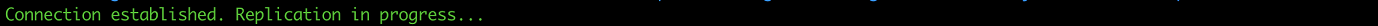 Console output showing connection established and replication in progress status.