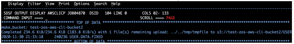 Standard output from job log.