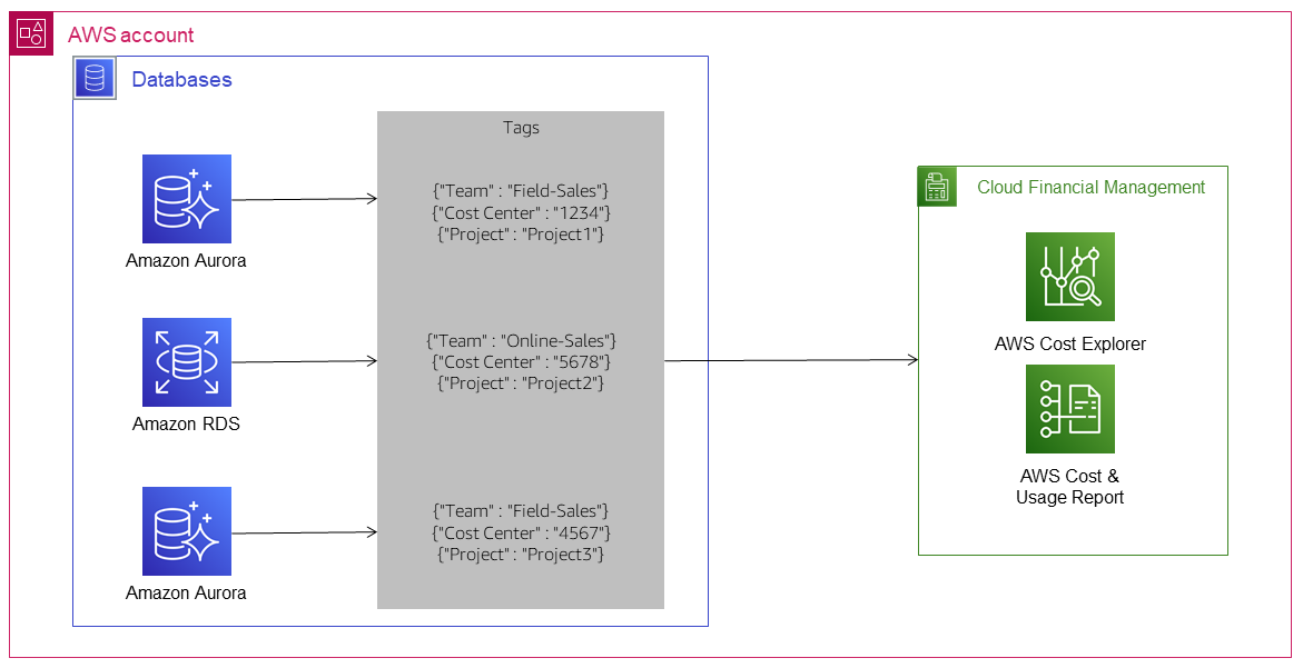 Applying tags to track usage costs for database instances and clusters