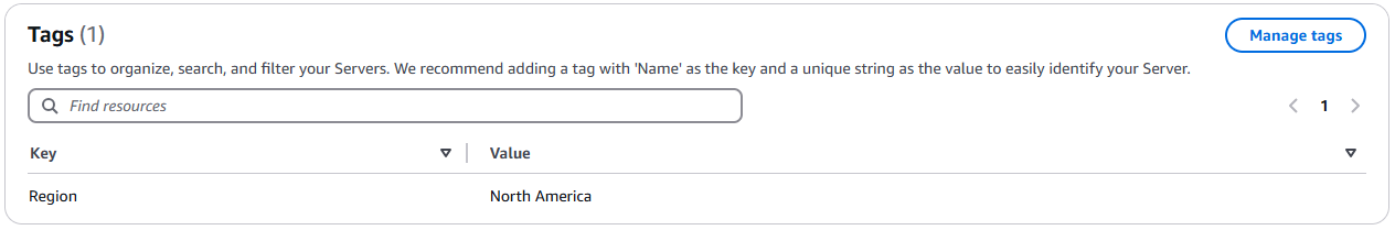 Écran des détails du serveur affichant la section Tags.