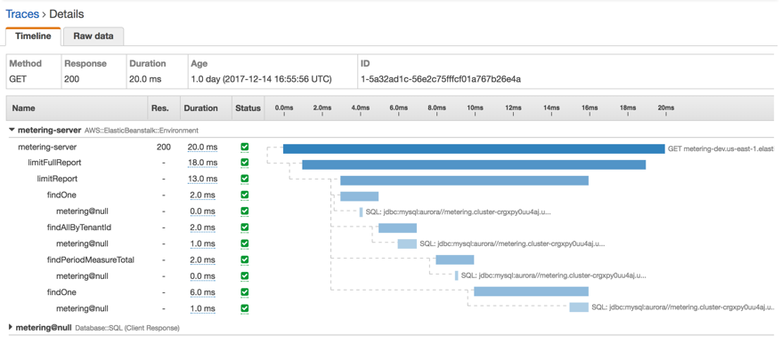 Timeline showing API call duration and breakdown of server operations for metering service.
