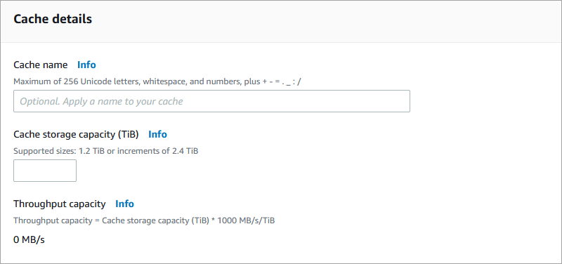 The Cache details screen, where you can enter cache parameters.