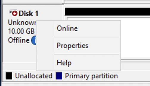 The panel that displays when the cursor is placed over Disk 1.