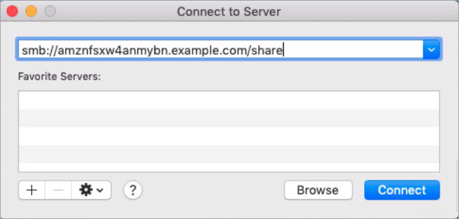 Mac connection screenshot showing the DNS and share names of the file system pane.