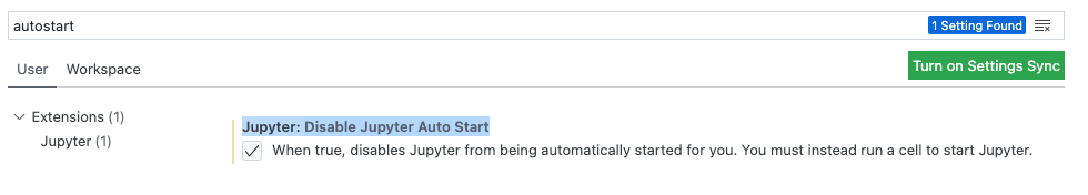 The screenshot shows the checkbox enabled in for the Jupyter Extension in VS Code.
