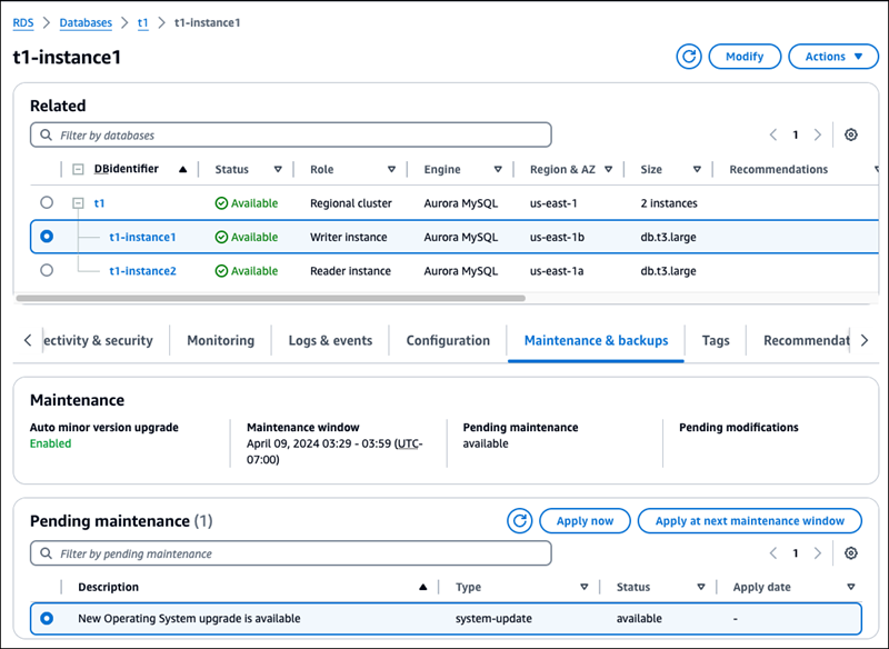 Aggiornamento della distribuzione del sistema operativo a livello di istanza di scrittura.