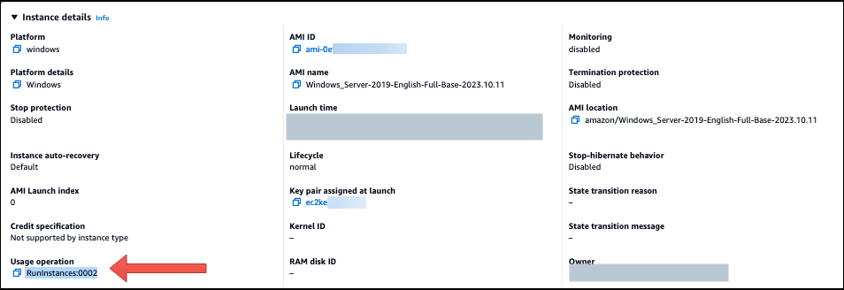 AMI Windows che utilizza RunInstances:0002 per BYOM.