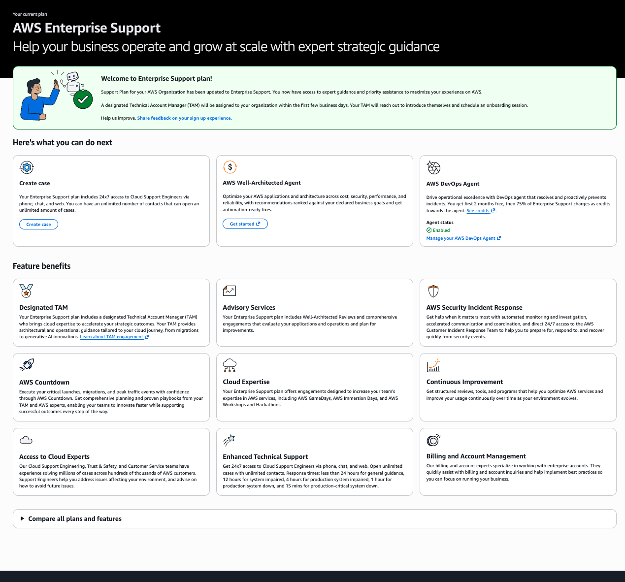Pagina del piano Enterprise Support con un banner di benvenuto che conferma l'iscrizione è completa e mostra le funzionalità disponibili.