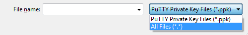 Tipo di file Putty key