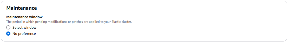 Sezione di manutenzione che mostra le opzioni della finestra di manutenzione.