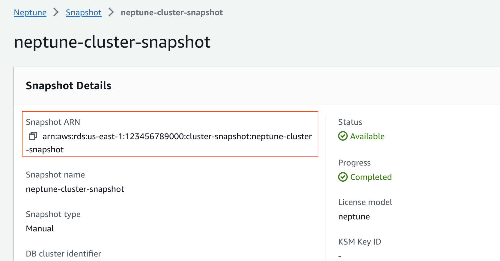 Cluster details option 2.