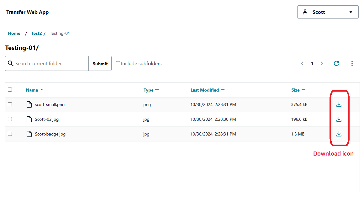 Schermata che mostra i file e le relative icone di download.