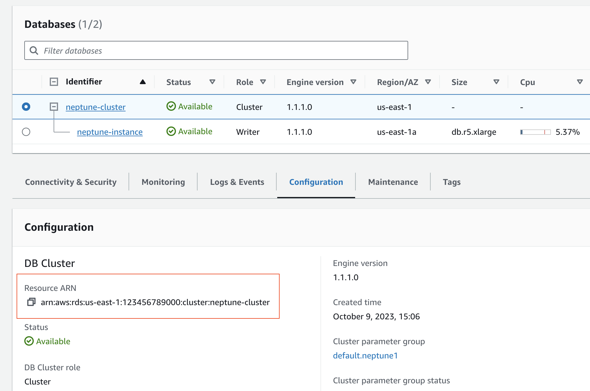 Cluster details option 1.