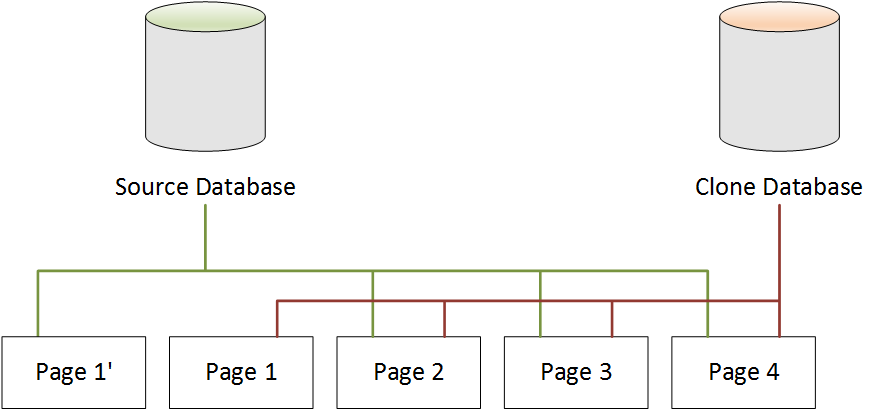 Neptune source database and clone database after the source database changes.