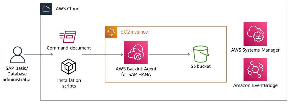 Workflow for scheduling regular backups.