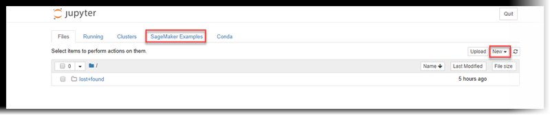 Example Jupyter notebook server page.
