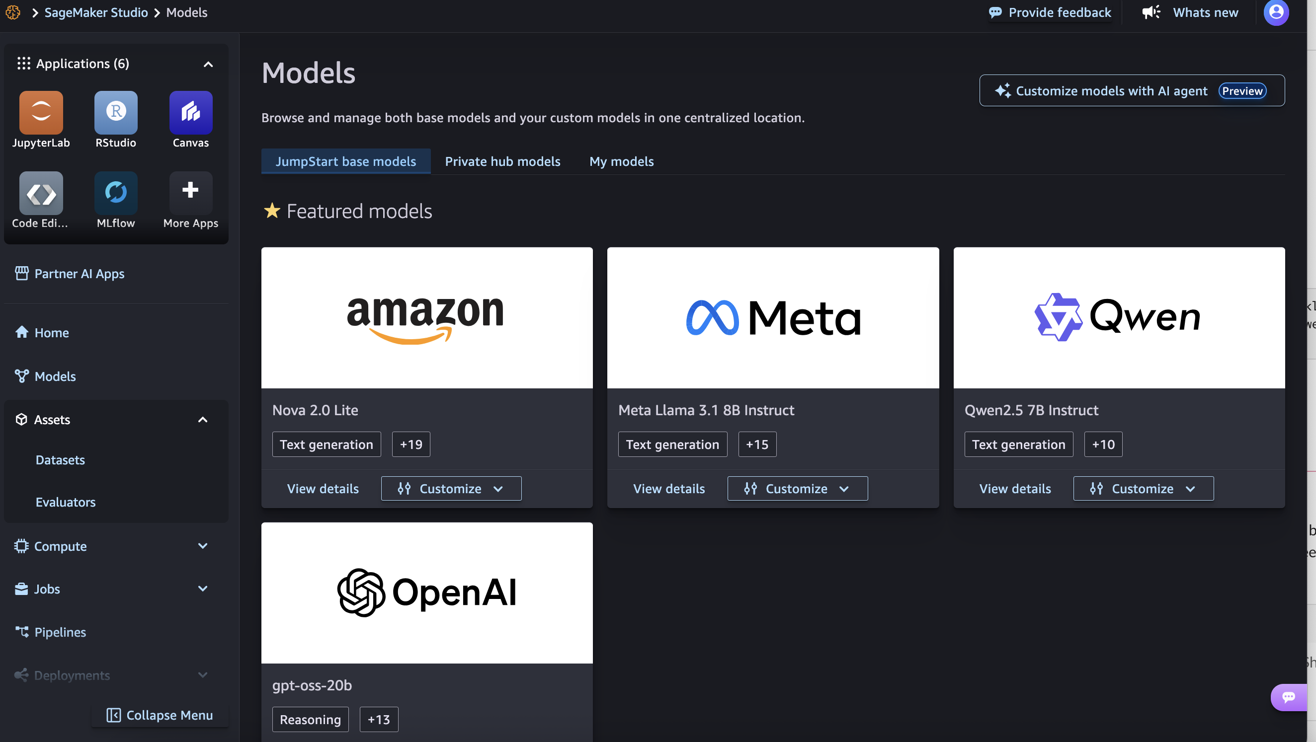 An image containing the access to model customization.