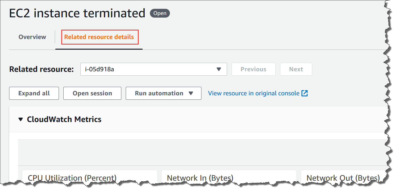 Viewing the Related resource details tab for an OpsItem.