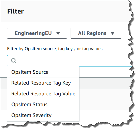 Using the filters Search bar in Systems Manager Explorer