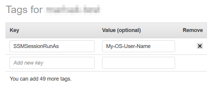 Screenshot of specifying tags for Session Manager Run As permission.