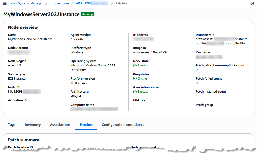 Node overview details in the Explore nodes section