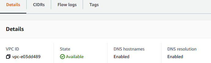 The DNS Settings tab